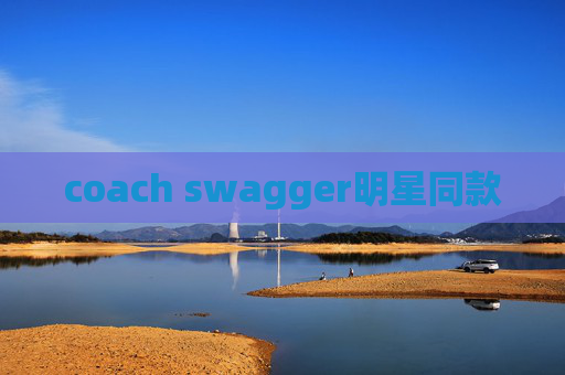coach swagger明星同款